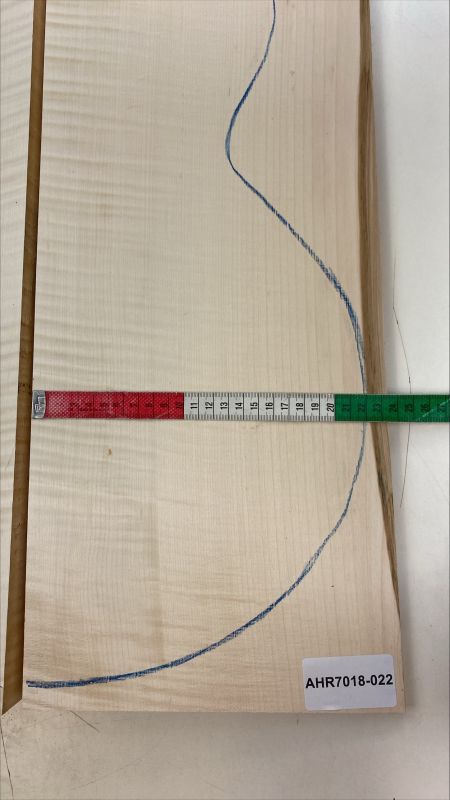 Boden & Zargen Ahorn, europ. Archtop Einzelstück #022